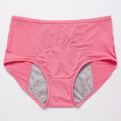 🔥Newly Upgraded 2026 All-day Premium Comfortable Fabric, ✅Herinte® High-waisted Leak-proof Underwear