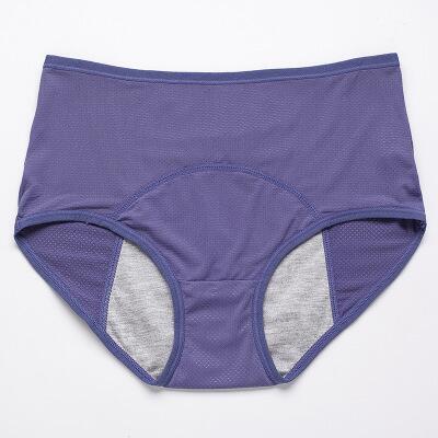 🔥Newly Upgraded 2026 All-day Premium Comfortable Fabric, ✅Herinte® High-waisted Leak-proof Underwear