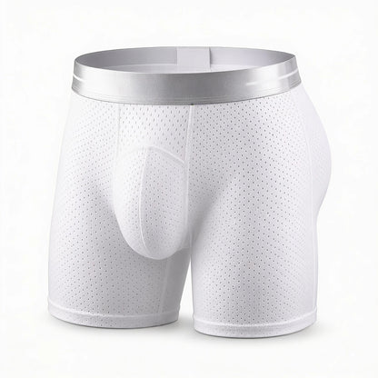 🔥 BEST DEAL 80% OFF TODAY🔥 2026 HOT SALE  AirFlexTM Premium Leakproof IceSilk Mesh Men's Boxer-180 Days free return